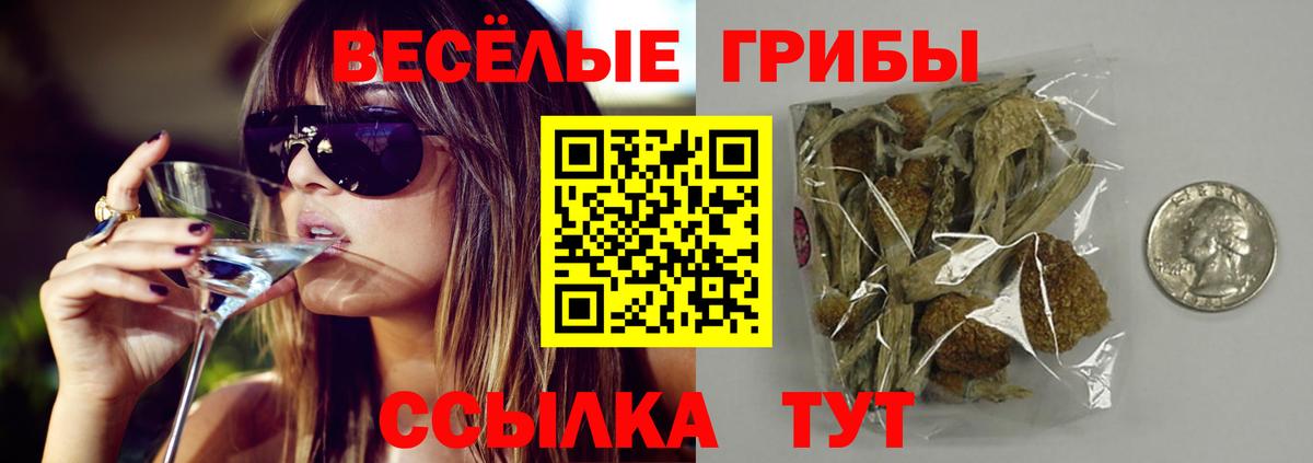 Галлюциногенные грибы мухоморы Салехард